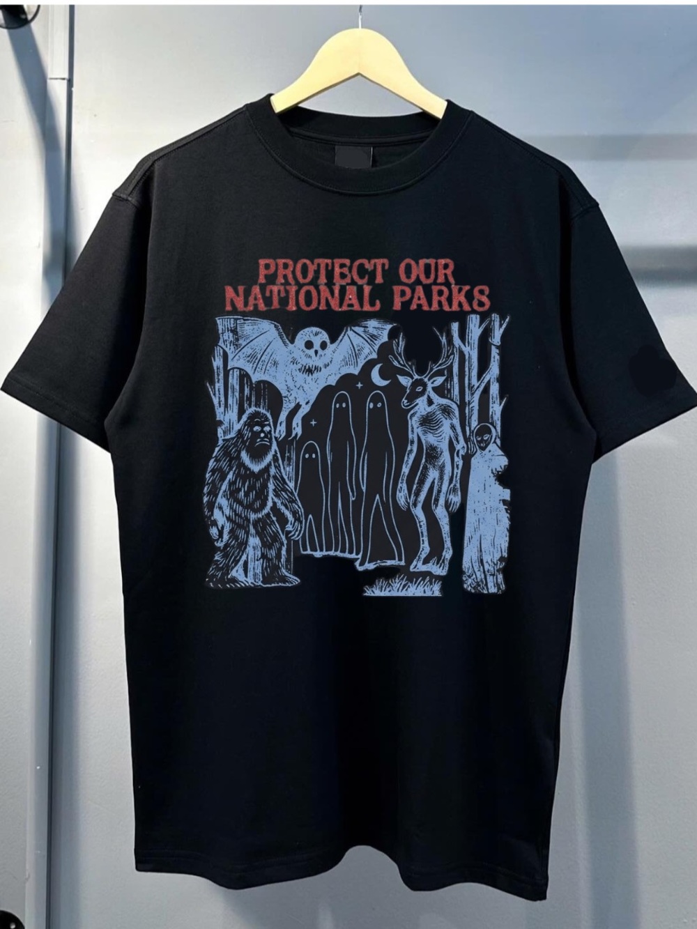 Gildan Black Tee with Red & Light Blue 'Protect Our National Parks' Graphic